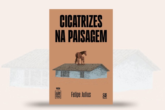 imagem do Livro vencedor do Prêmio Cepe revisita tragédia climática no RS
